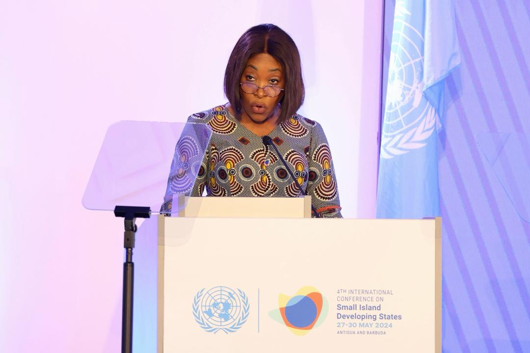 Foreign Minister Ayorkor Botchwey, Barbados PM call for global finance reform at SIDS Forum - Vimarsana News