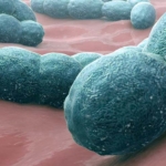 Health Ministry renews meningitis alert as dry season heightens outbreak risk Health Ministry renews meningitis alert as dry season heightens outbreak risk