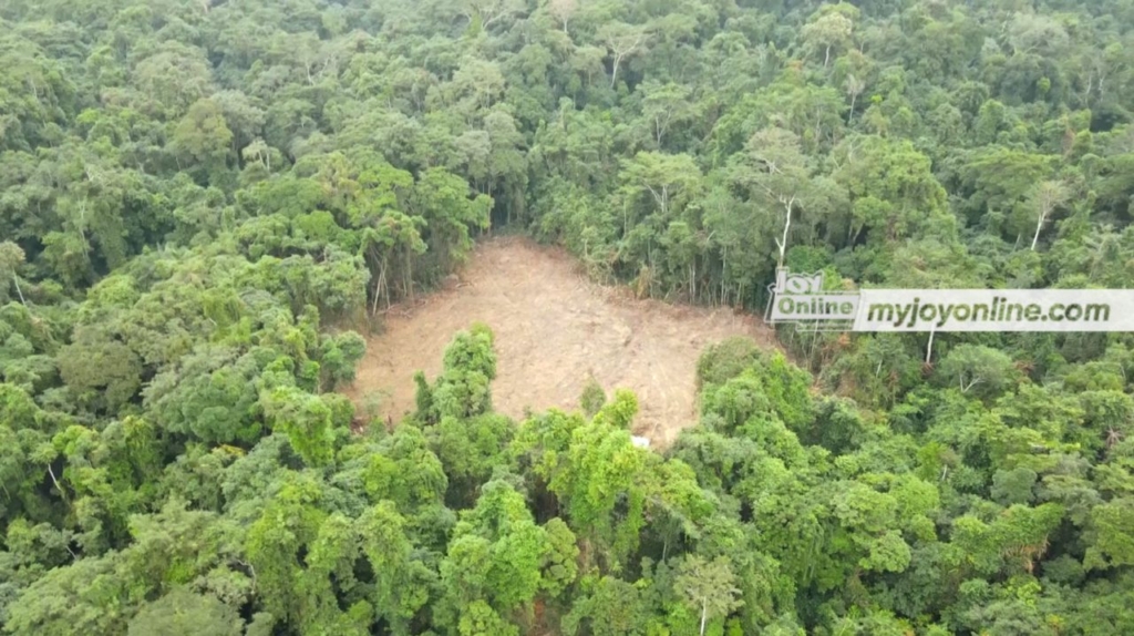 44 of Ghana’s Forest Reserves under siege by armed illegal miners – Lands Minister – MyJoyOnline
