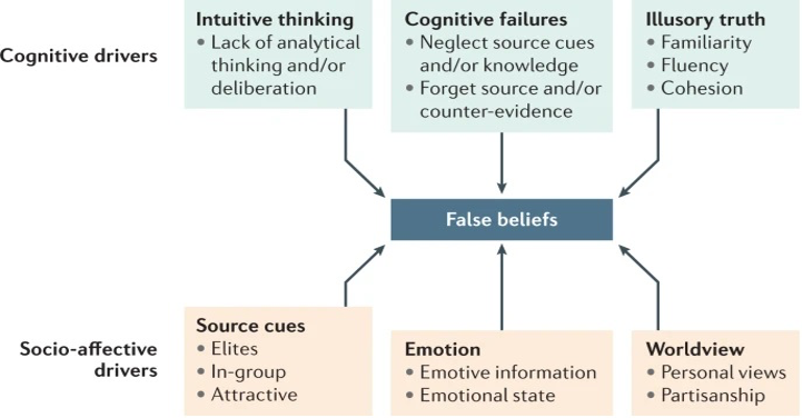 Menace of misinformation: Understanding the threats and consequences on election outcomes