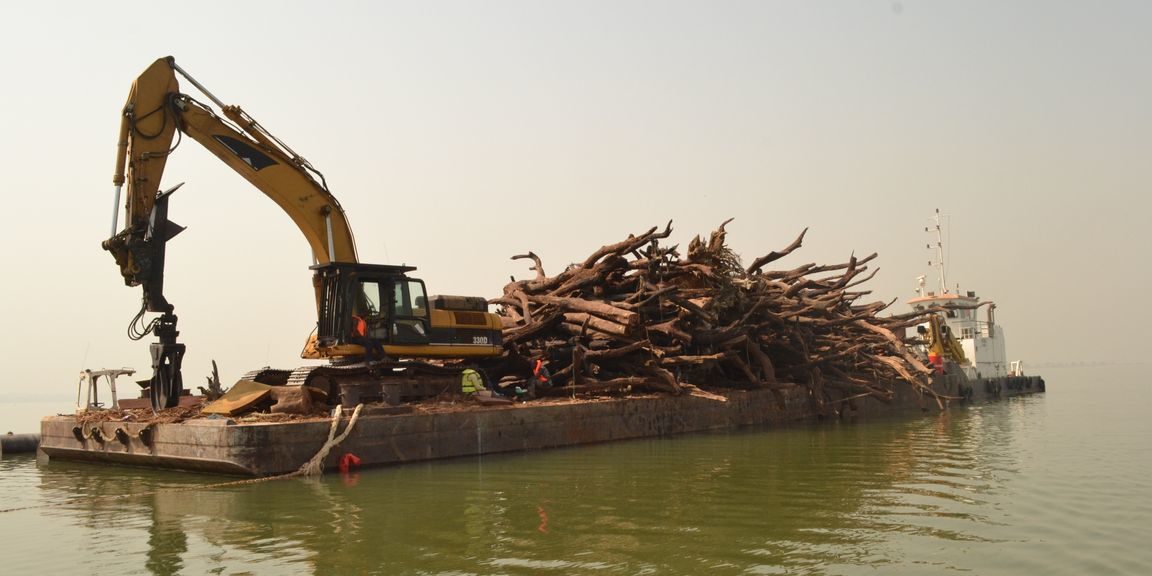 Removal of Volta Lake tree stumps cost GH₵87.6m, Auditor General raises value for money concerns