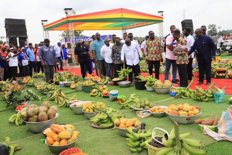 Children of cocoa farmers to enjoy scholarships at tertiary level - Dr Bawumia