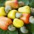 Ghana must prioritise local cashew processing to unlock jobs, boost export earnings – ACPG