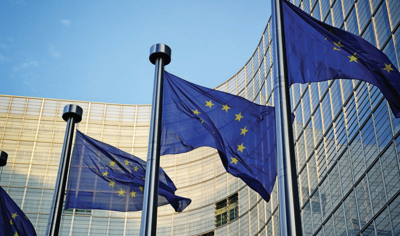 Screenshot 2025 02 13 at 07.36.46