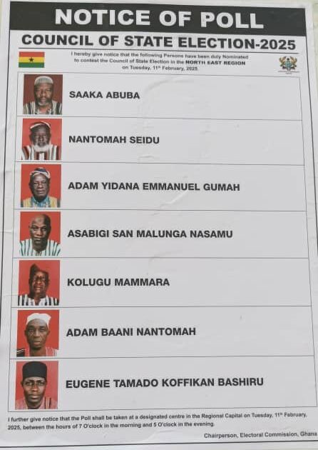 Saaka Abuba wins North East Council of State election in re-run – MyJoyOnline