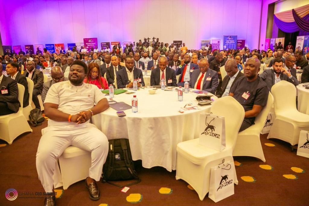 Daily Insight for CEOs: Strategic leadership – Driving business growth in a competitive market – MyJoyOnline