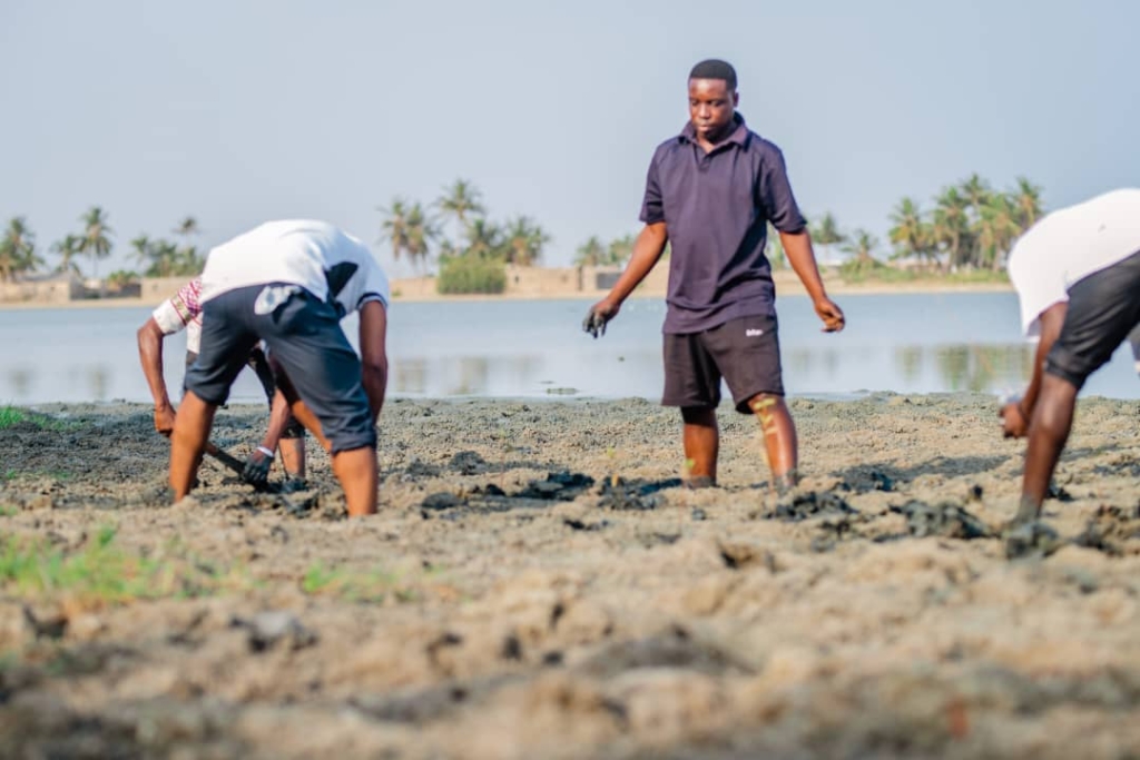 Green Growth Africa strengthens coastal resilience at Kedzi in V/R – MyJoyOnline