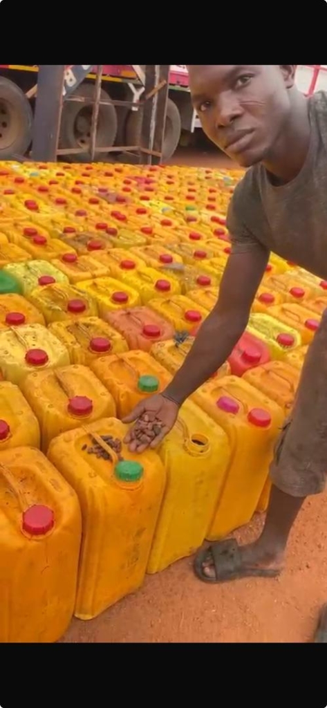 COCOBOD, GRA foil cocoa smuggling attempt at Togo border – MyJoyOnline