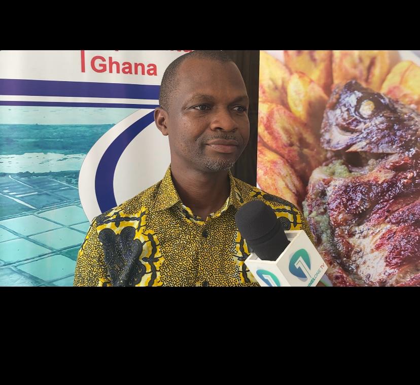 Chamber of Aquaculture calls for increased resource allocation; Celebrates women in the sector – MyJoyOnline