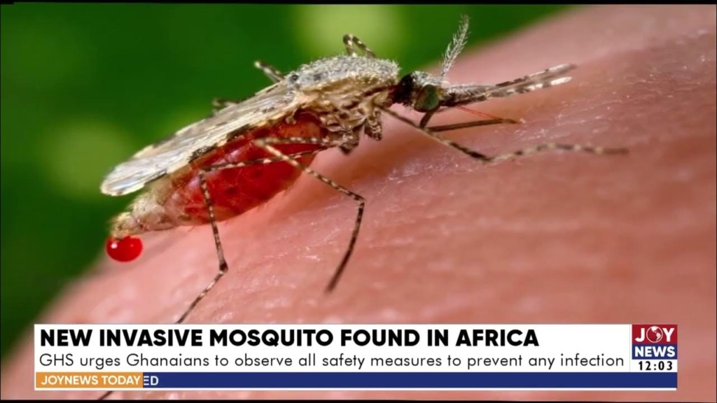 Malaria fight stalls as Africa faces funding gaps, drug resistance, and climate challenges – MyJoyOnline