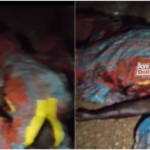 Pregnant woman killed, 2 others injured by unknown gunmen at Kukpalgu in N/R