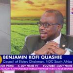 'Let's prioritise bread and butter for our people over the flight saga' – NDC South Africa chair