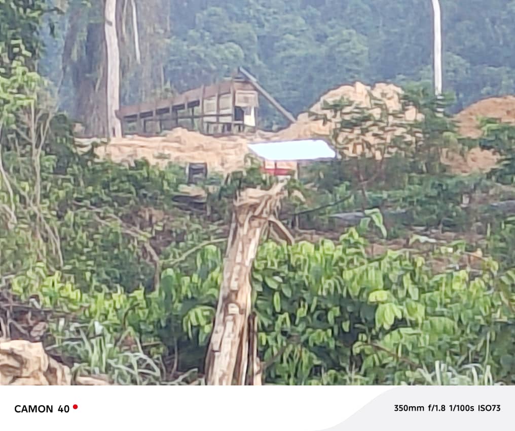 Photos: Illegal miners invade Tano Anwia forest reserve again – MyJoyOnline Photos: Illegal miners invade Tano Anwia forest reserve again – MyJoyOnline