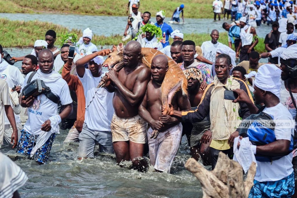 At dawn they hunt: The sacred ritual of Aboakyer’s deer chase – MyJoyOnline