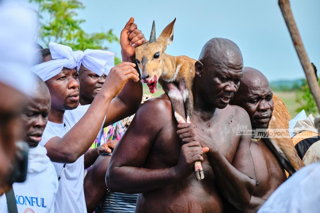 At dawn they hunt: The sacred ritual of Aboakyer’s deer chase 4 WhatsApp Image 2025 05 15 at 12.38.07