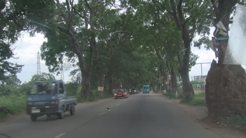 Roots of resistance: The climate cost of cutting Accra’s trees 3 WhatsApp Image 2025 05 24 at 16.13.15 2