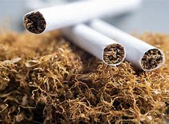 ‘No form of tobacco is safe for consumption, shisha isn’t safe’ – FDA warns – MyJoyOnline