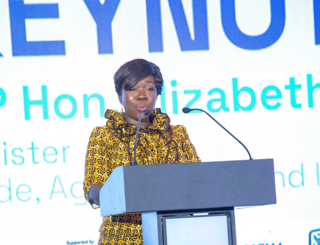 Trades Minister declares gov’t’s bold agenda to empower MSME; targets GH¢6bn financing by 2027 – MyJoyOnline