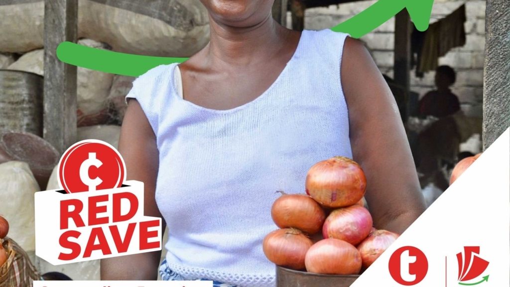 Makola onion seller sues telecel for GH¢2 million over privacy breach – MyJoyOnline
