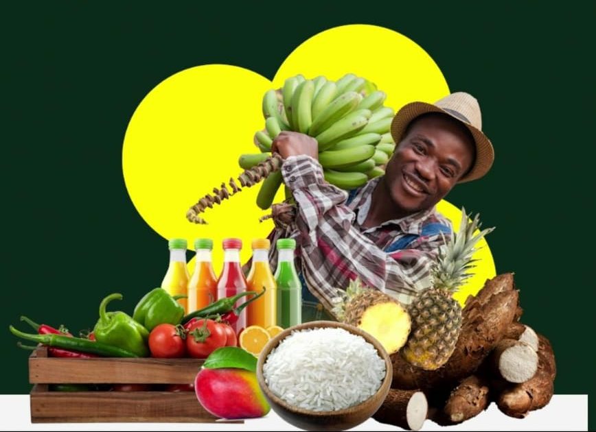 Ghana Horticulture Expo 2025 to empower youth and women through agribusiness – MyJoyOnline