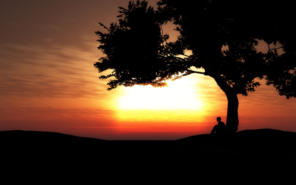 Everyone wants to stand in the shade… But nobody wants to plant a tree 2 WhatsApp Image 2025 06 03 at 16.21.18