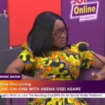 OSP must remain professional in Ken Ofori-Atta probe – Abena Osei-Asare OSP must remain professional in Ken Ofori-Atta probe – Abena Osei-Asare