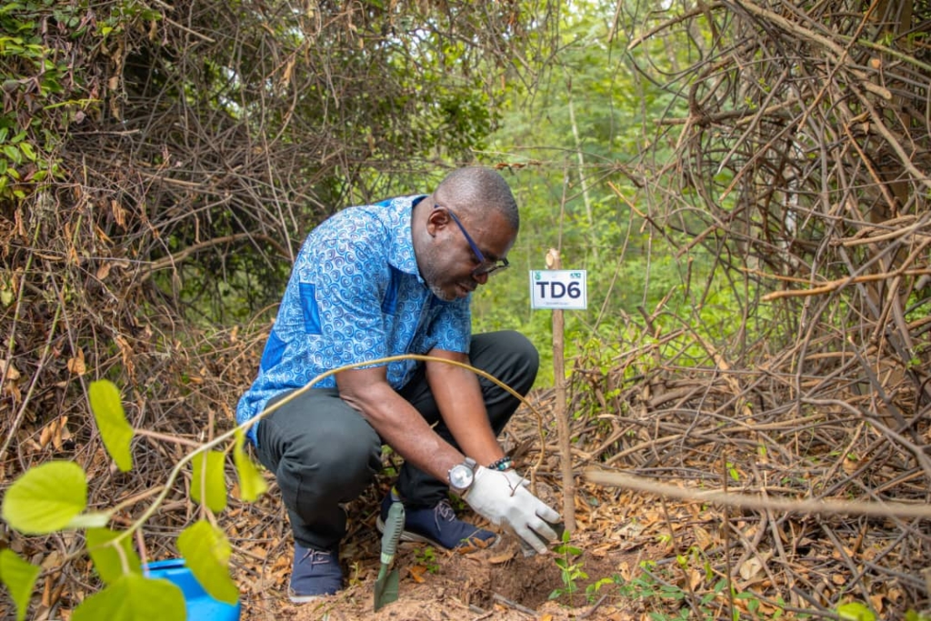 We are committed to a ‘Green Ghana’ – Prudential Bank MD – MyJoyOnline