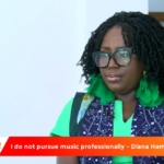 I'm not doing music professionally - Diana Hamilton
