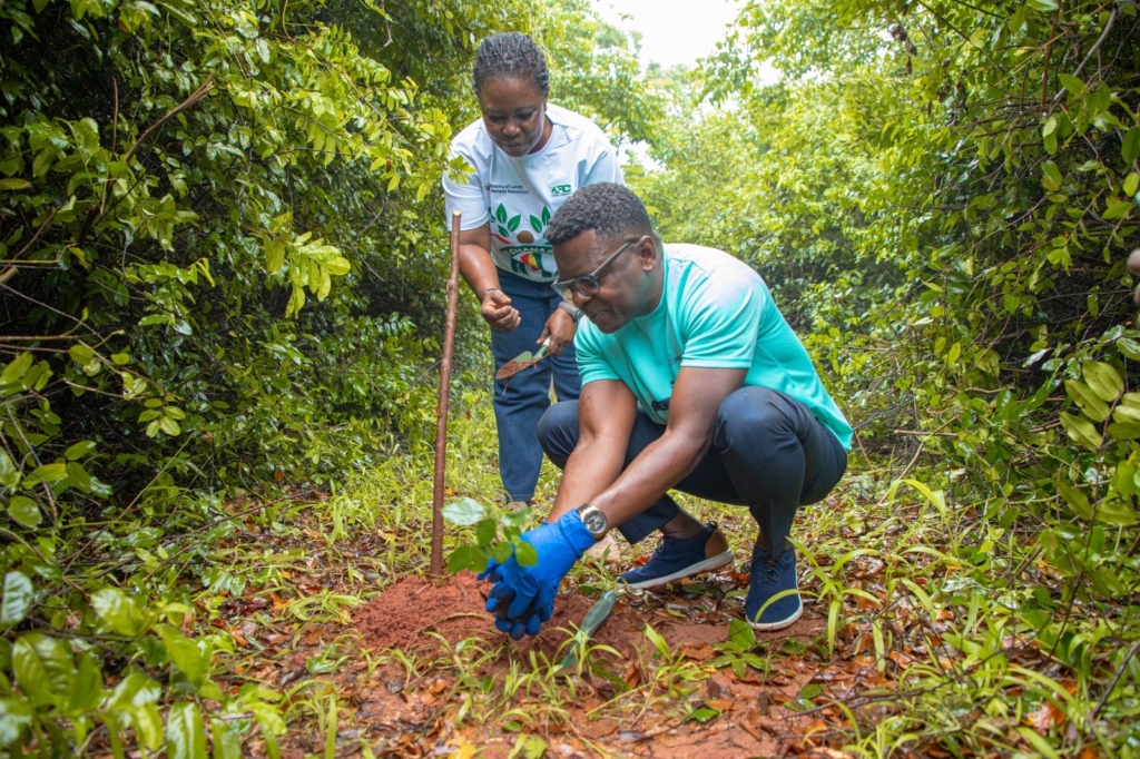 Prudential Bank staff plant trees to support ‘Tree for Life Restoration Initiative’ – MyJoyOnline