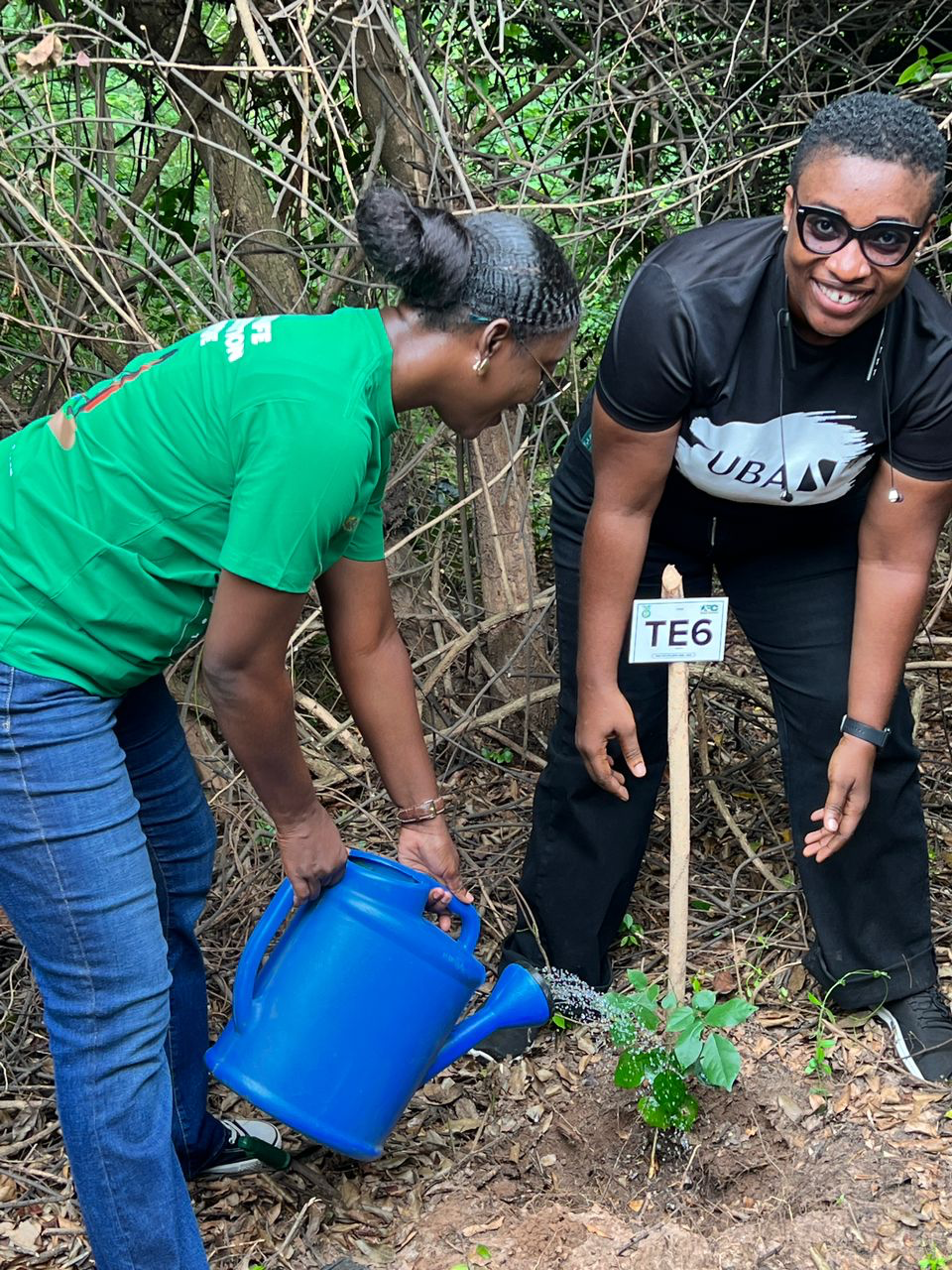 Tree planting is everyone’s business – MyJoyOnline
