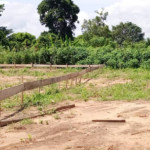 Tension in Effiduase as family rejects destoolment of chief who resisted controversial sale of COVID-19 cemetery land Tension in Effiduase as family rejects destoolment of chief who resisted controversial sale of COVID-19 cemetery land