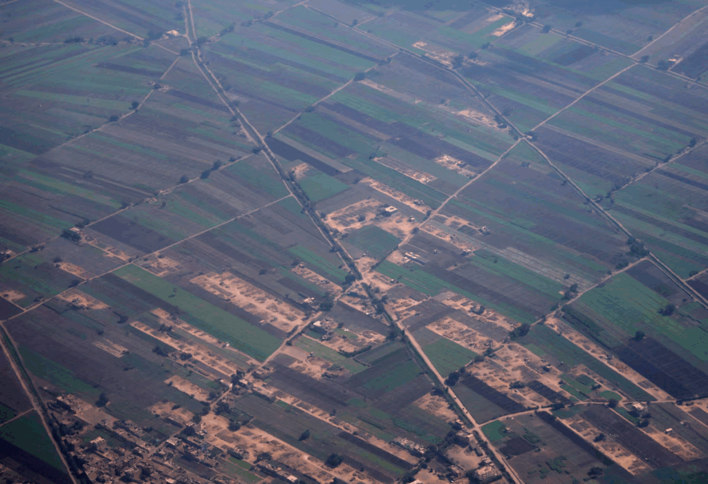 Egypt halts fertiliser production as Israeli gas disruptions deepen energy strain – MyJoyOnline