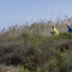 Former Colombian Minister calls for system change ahead of COP30 in the Amazon