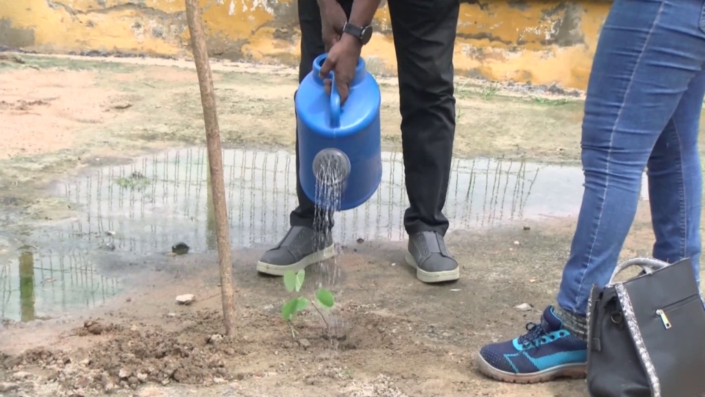 Ecobank Ghana urges corporate entities to prioritise afforestation and climate resilience – MyJoyOnline