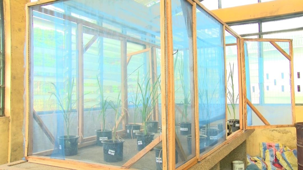 Scientists investigate how flooding release toxic chemicals on Galamsey lands – MyJoyOnline