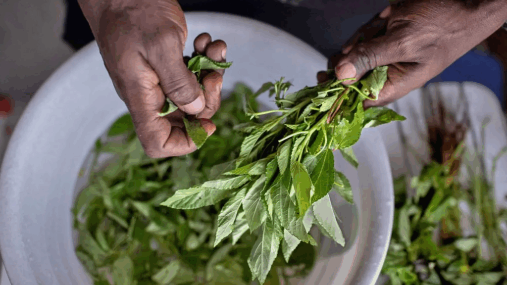 Forgotten ‘weeds’ prove a culinary hit in Kenya – MyJoyOnline