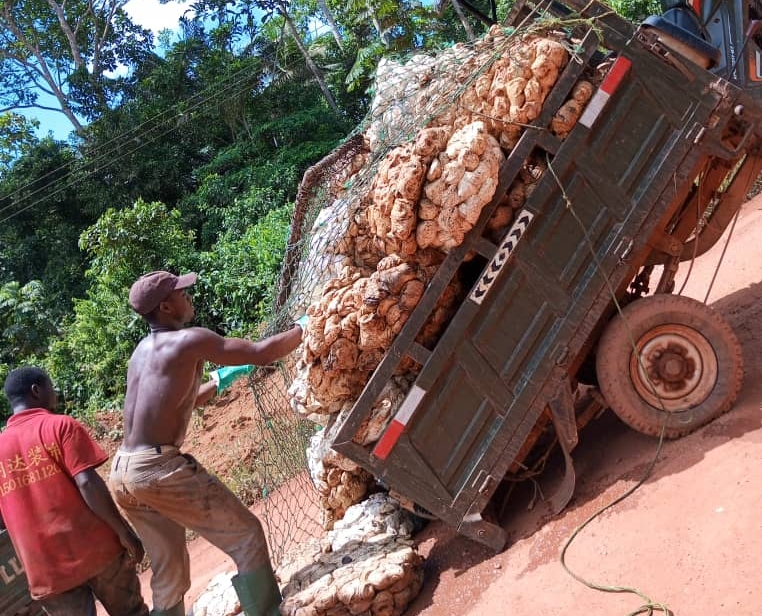 Western region rubber traders decry alleged unfair treatment by local processors – MyJoyOnline