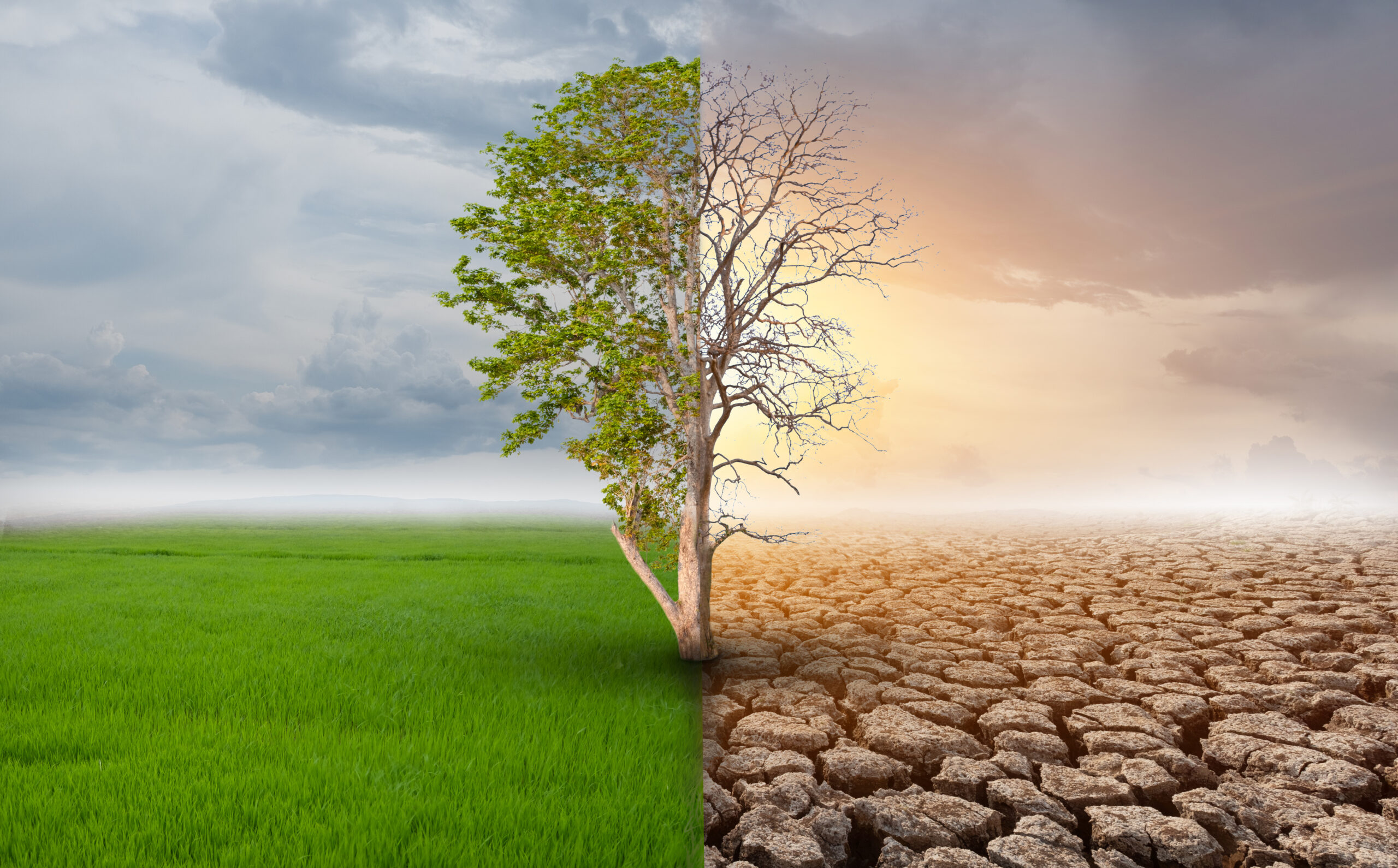 Climate finance must come as grants, not loans – Mahama