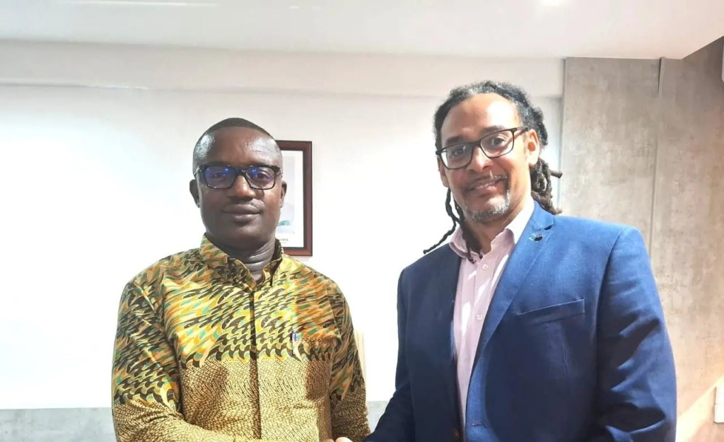 “Africa must take charge of its energy future,” –  Jinapor – MyJoyOnline