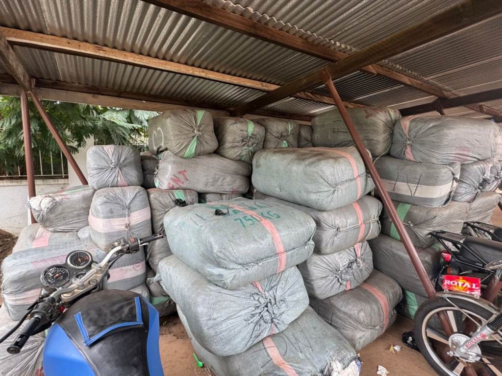 Ashanti region Security Liaison destroys counterfeit diapers, goes after importers – MyJoyOnline