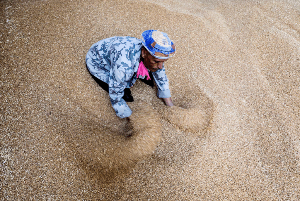 Egypt agrees to buy at least 200,000 tons of French wheat, state buyer says – MyJoyOnline