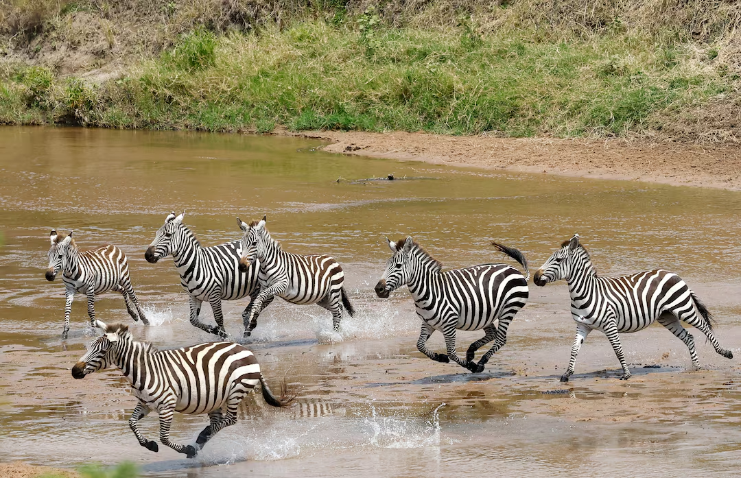 Luxury tourism in Africa often fails to benefit locals, new research shows