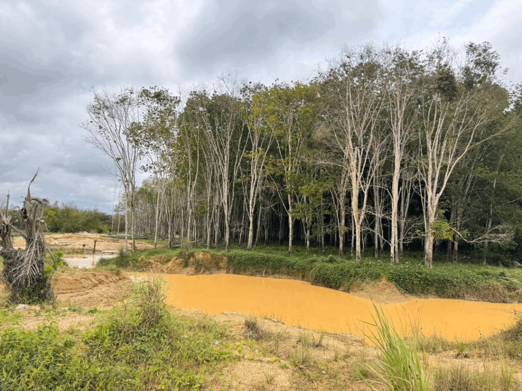 Galamsey fight: 12 arrested, 25 chanfang machines destroyed in Western region – MyJoyOnline