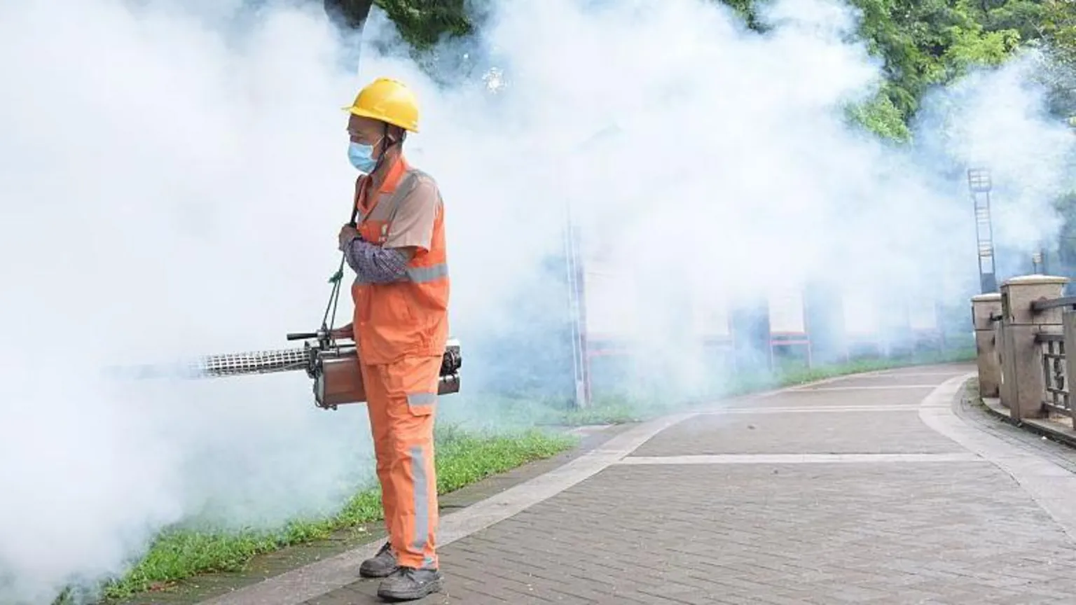 china-reports-7-000-cases-of-chikungunya-virus-myjoyonline