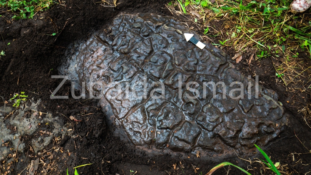 Part II: The big find in Savannah region: was Akamade a hub for Islamic studies? – MyJoyOnline