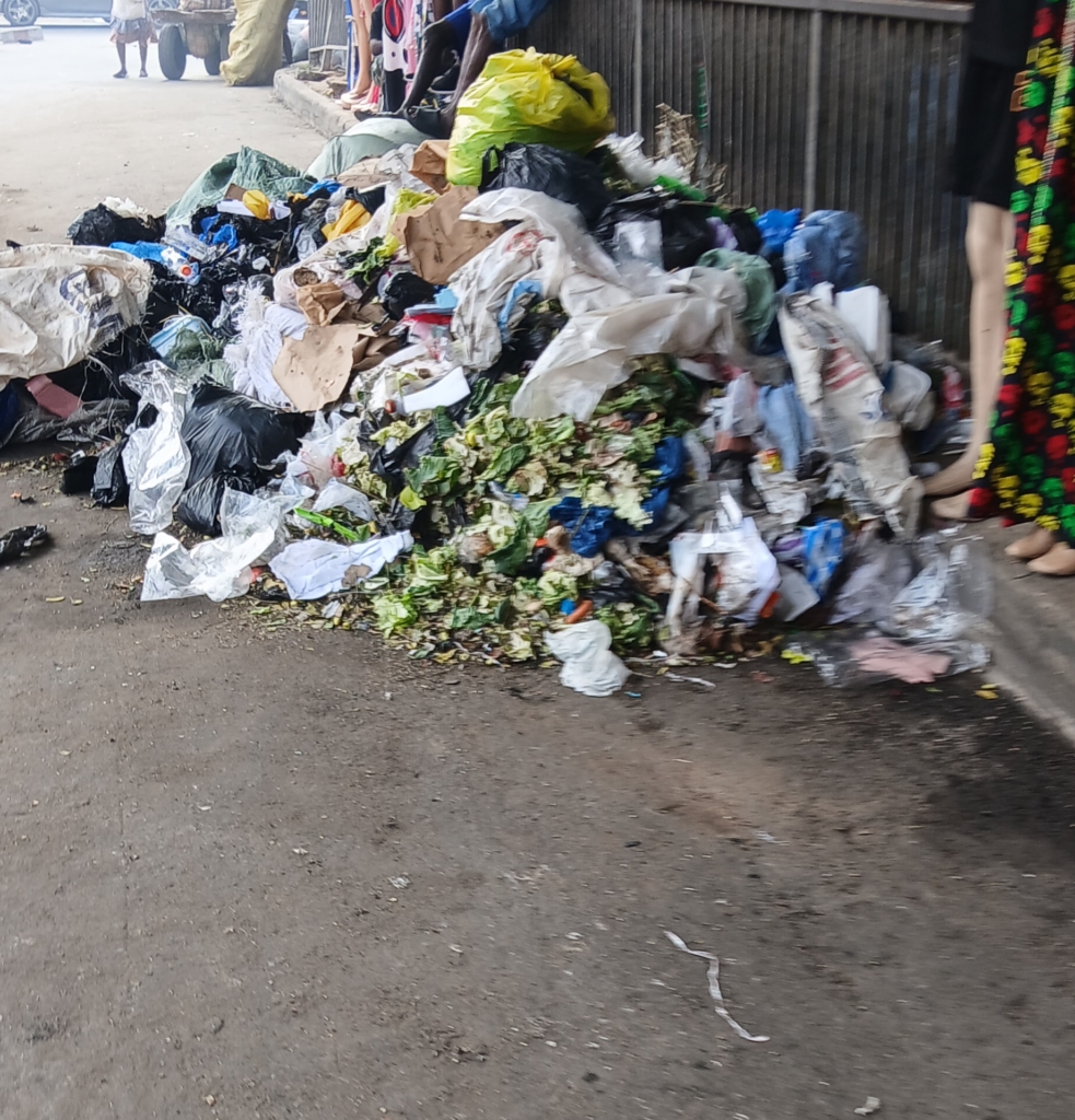 Tourism and Our Sanitation – MyJoyOnline