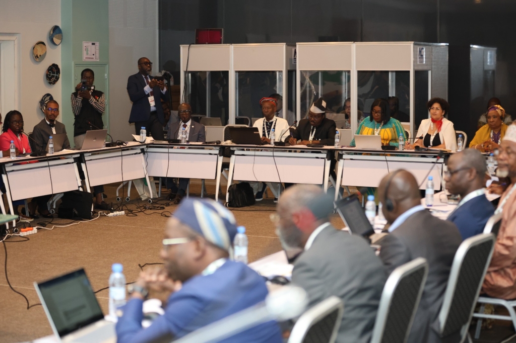 Africa must invest in herbal medicine, not depend on donors – Experts warn – MyJoyOnline