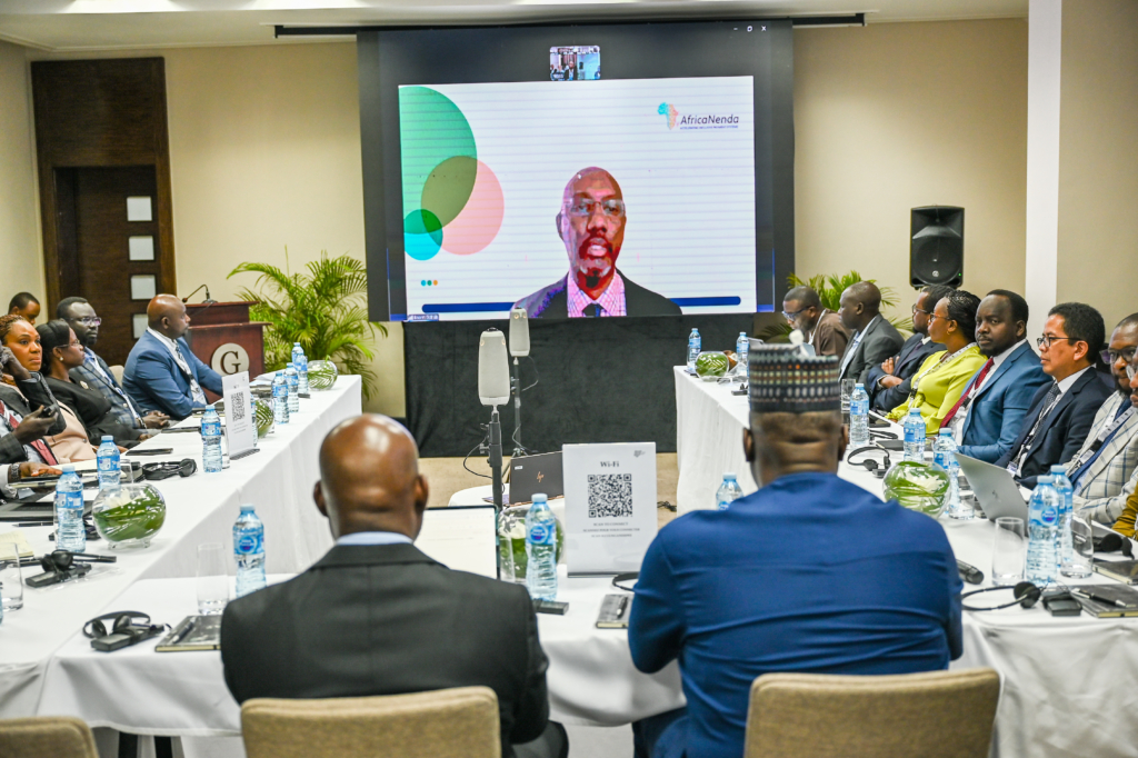 Building homegrown instant payment systems to drive financial inclusion in Africa – MyJoyOnline