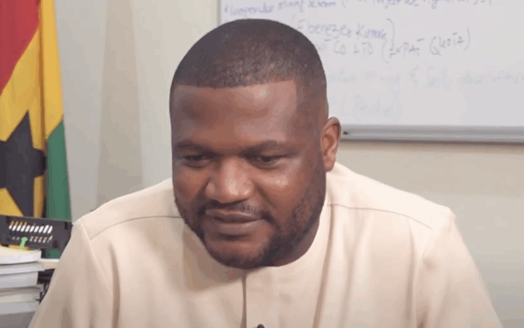 With 20 years of mining experience, I’m ready to strike balance – New Minerals Commission CEO – MyJoyOnline