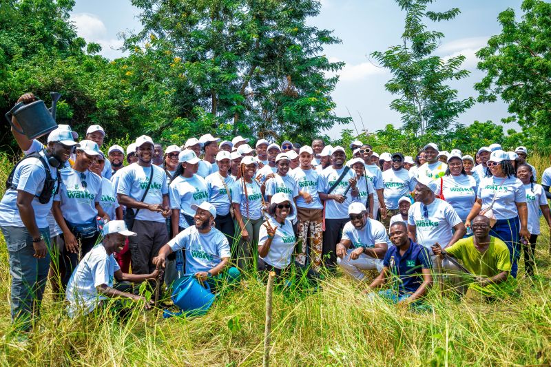 Coalition of Ghanaian businesses plant 1,000 trees in Shai Hills – MyJoyOnline